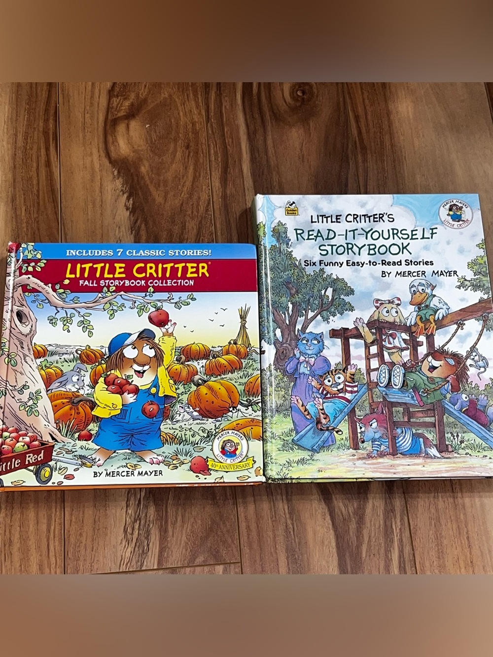 Mercy Myer books